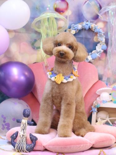 20240827レオくん